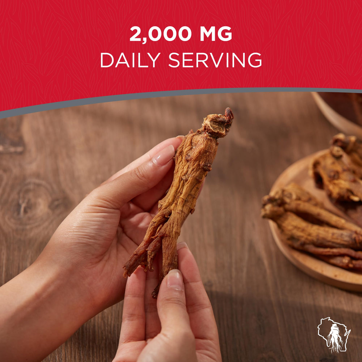 Dairyland Management Racine de Ginseng Panax Rouge 340g en utilisation dans une soupe