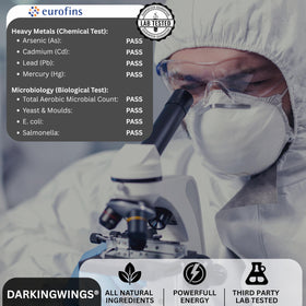 Darkingwings 8-en-1 Shilajit en capsules sur une surface en bois