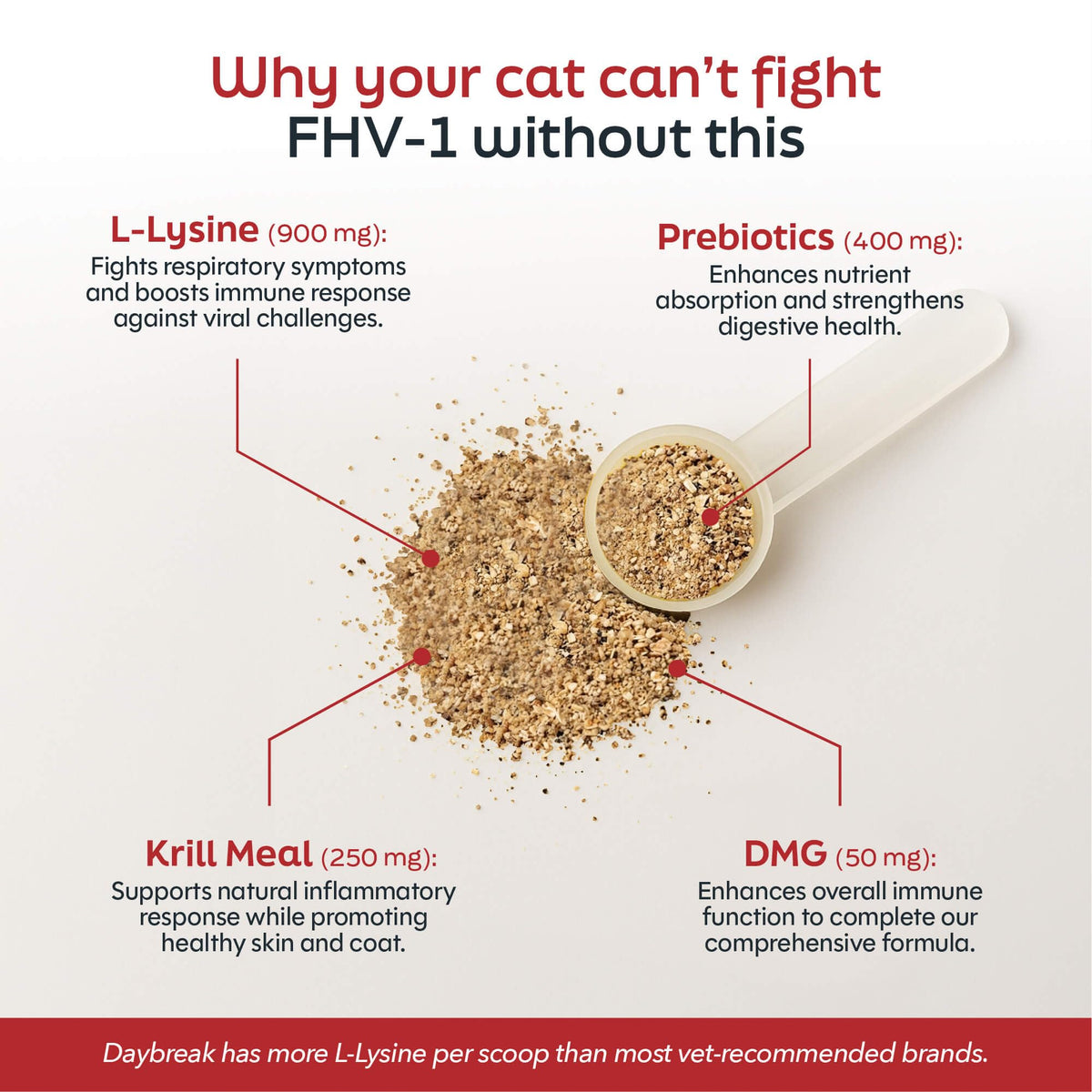Daybreak Nutrition L-Lysine en poudre pour chats 900mg, étiquette des ingrédients