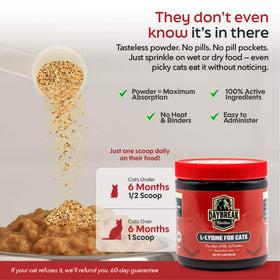 Daybreak Nutrition L-Lysine en poudre pour chats 900mg, vue du produit sur une table