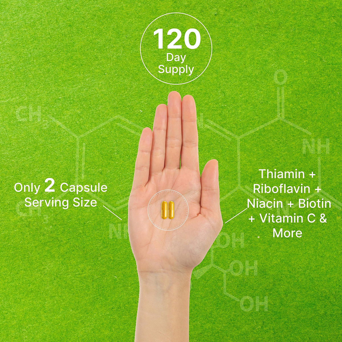 DEAL SUPPLEMENT Complexe de Vitamines B Bioactif 240 Capsules Végétales avec capsules visibles