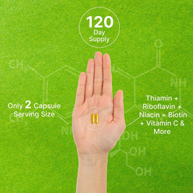 DEAL SUPPLEMENT Complexe de Vitamines B Bioactif 240 Capsules Végétales avec capsules visibles