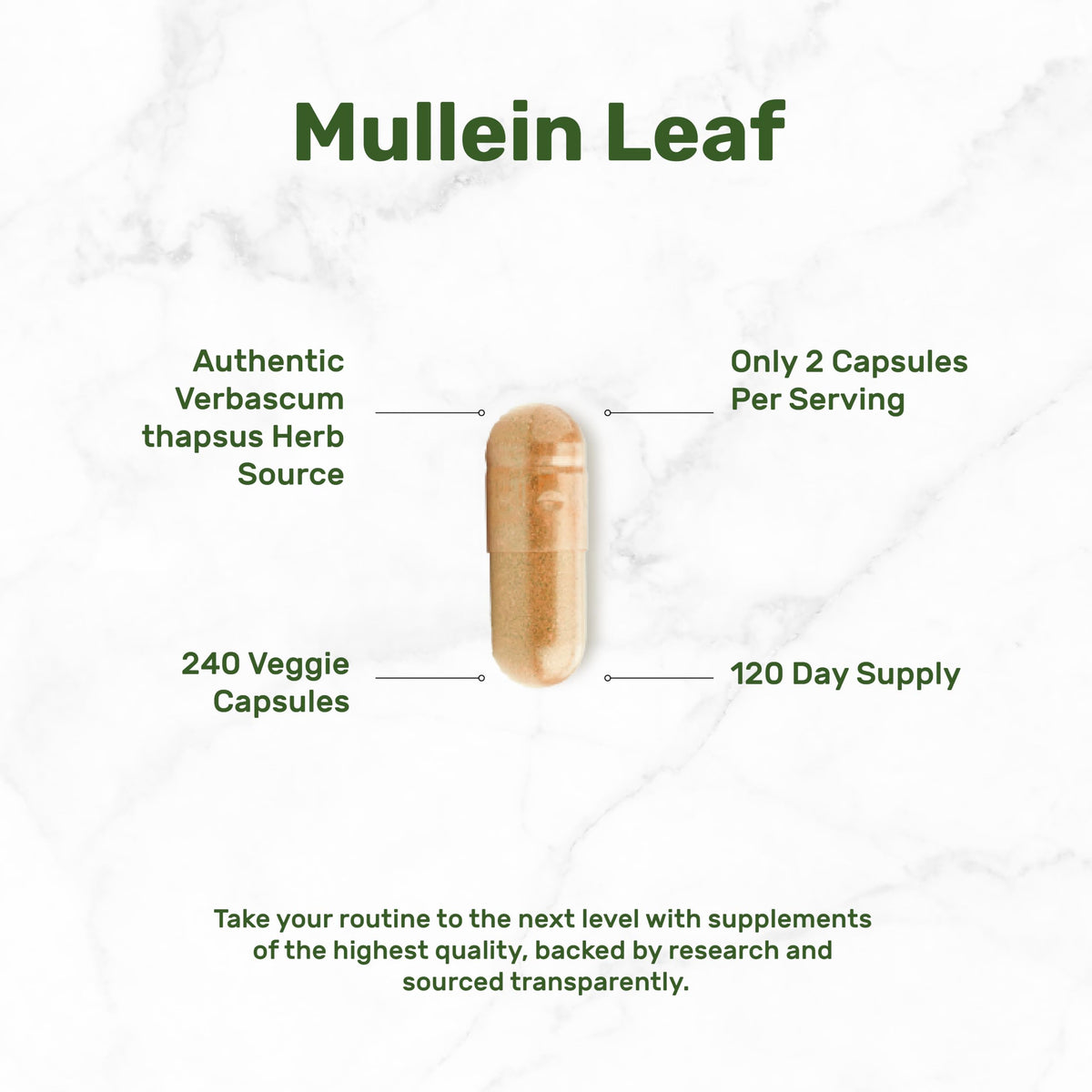 DEAL SUPPLEMENT Extrait de Feuille de Molène - étiquette et informations nutritionnelles