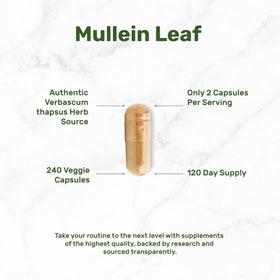 DEAL SUPPLEMENT Extrait de Feuille de Molène - étiquette et informations nutritionnelles