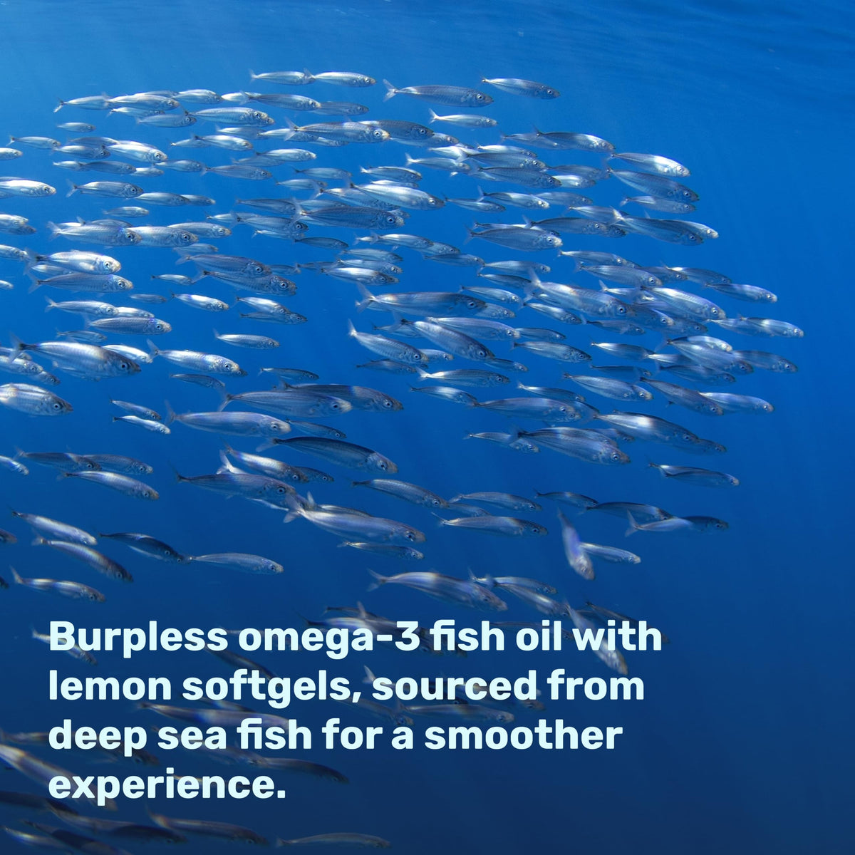 DEAL SUPPLEMENT gélules Omega-3 sur fond blanc