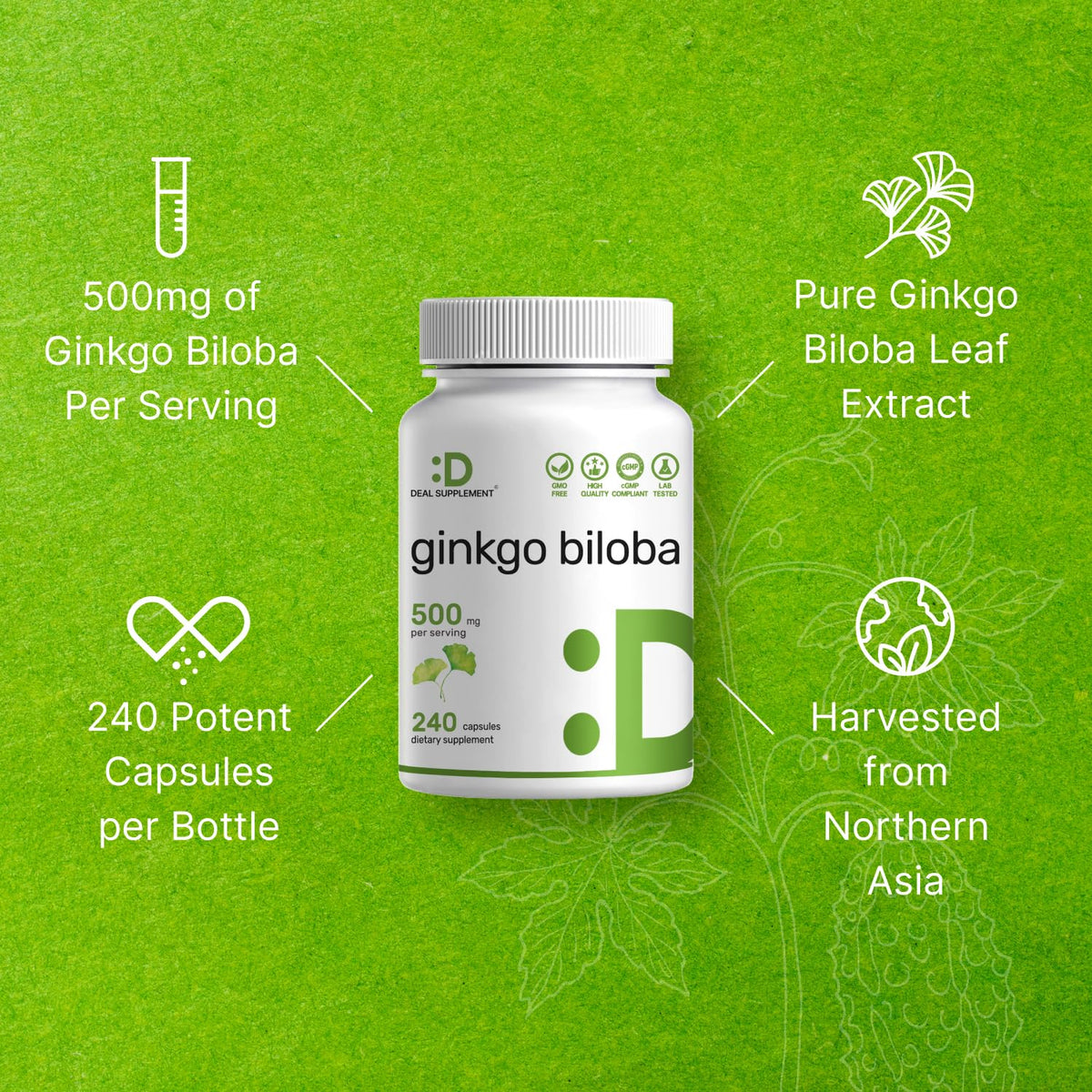 DEAL SUPPLEMENT Ginkgo Biloba 500mg capsules sur une table