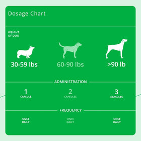Dechra Eicosa3FF SnipCaps Omega 3 capsule package