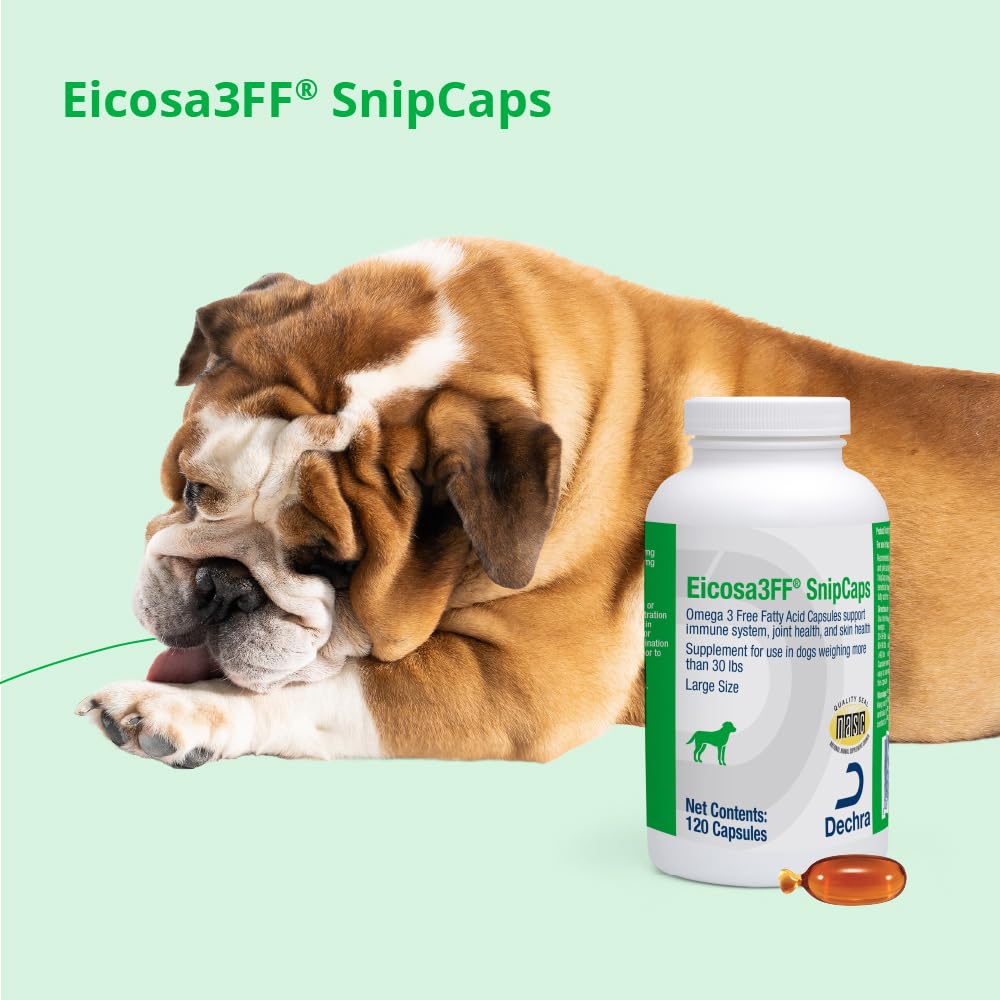 Dechra Eicosa3FF SnipCaps Omega 3 capsules lifestyle scene