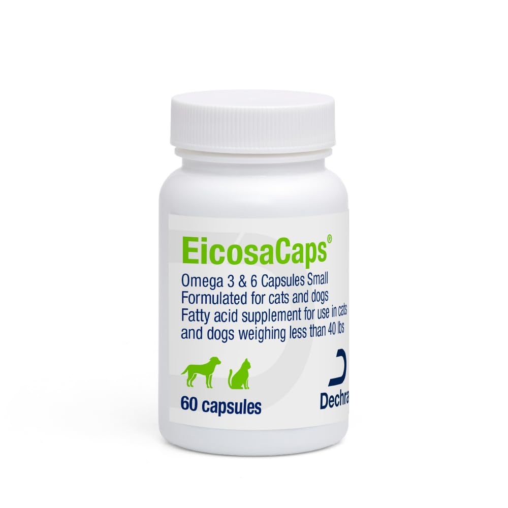Dechra EicosaCaps boîte de 60 capsules vue de face