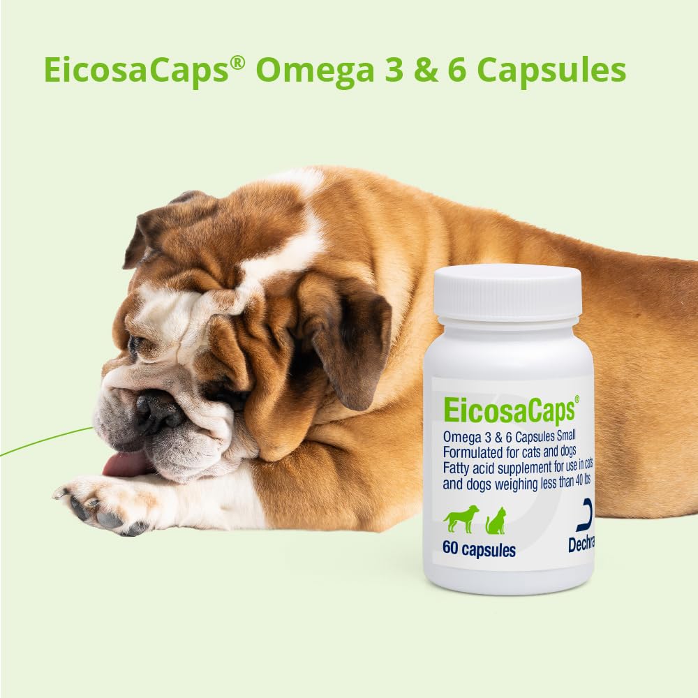 Dechra EicosaCaps boîte ouverte avec capsules visibles