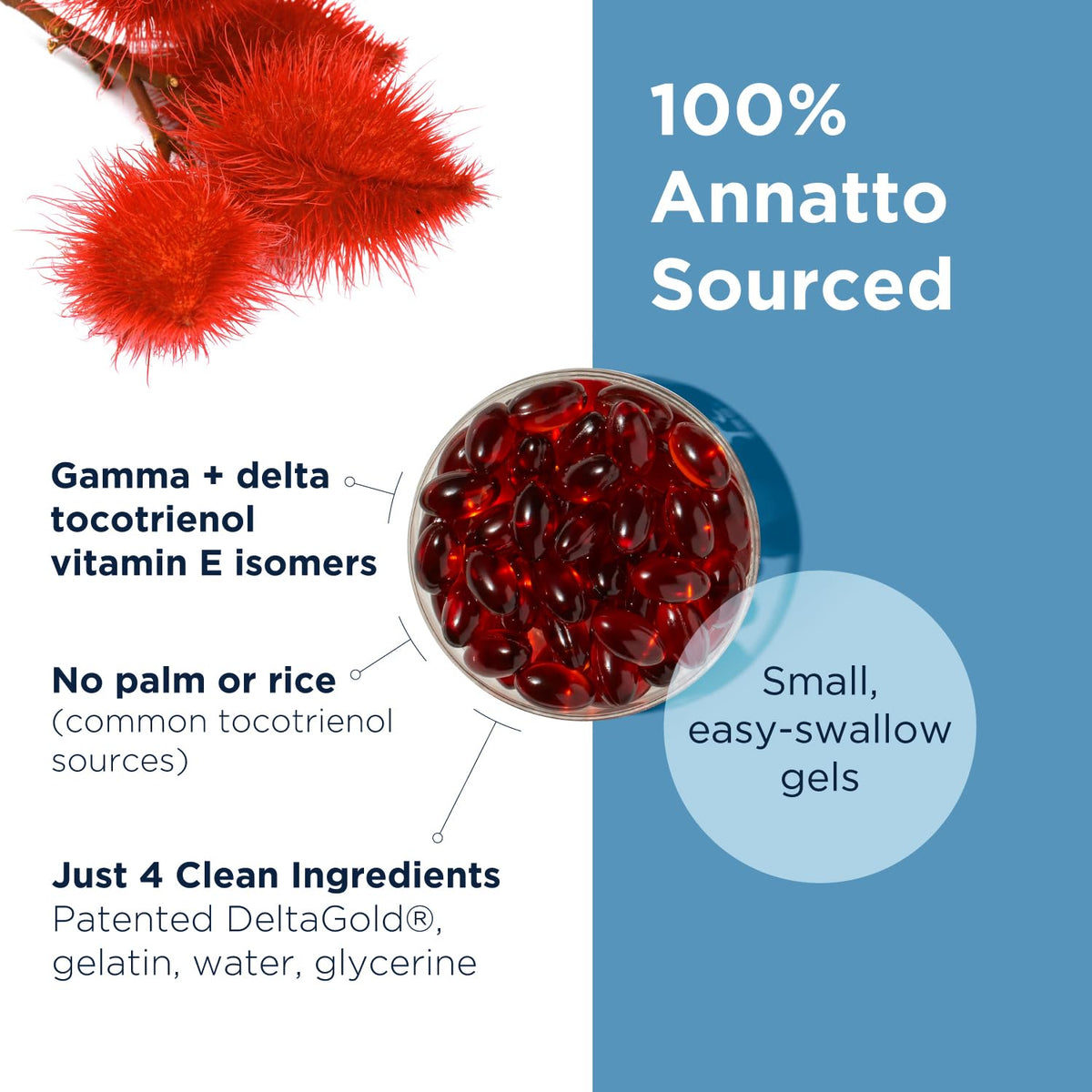 Designs for Health Annatto-E 150mg tocotrienols softgels close-up
