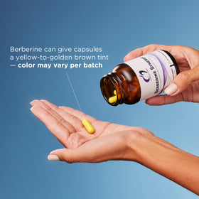 Designs for Health Berberine Synergy 400mg gélules en main