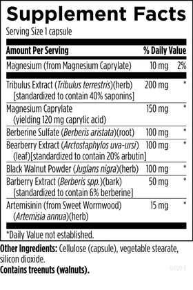 Designs for Health GI Microb-X 120 capsules sur fond blanc