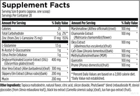 Designs for Health GI Revive Poudre de Soutien daily 290g ingrédients en gros plan