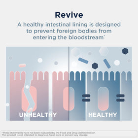Designs for Health GI Revive Poudre de Soutien daily 290g mélange dans un verre d'eau