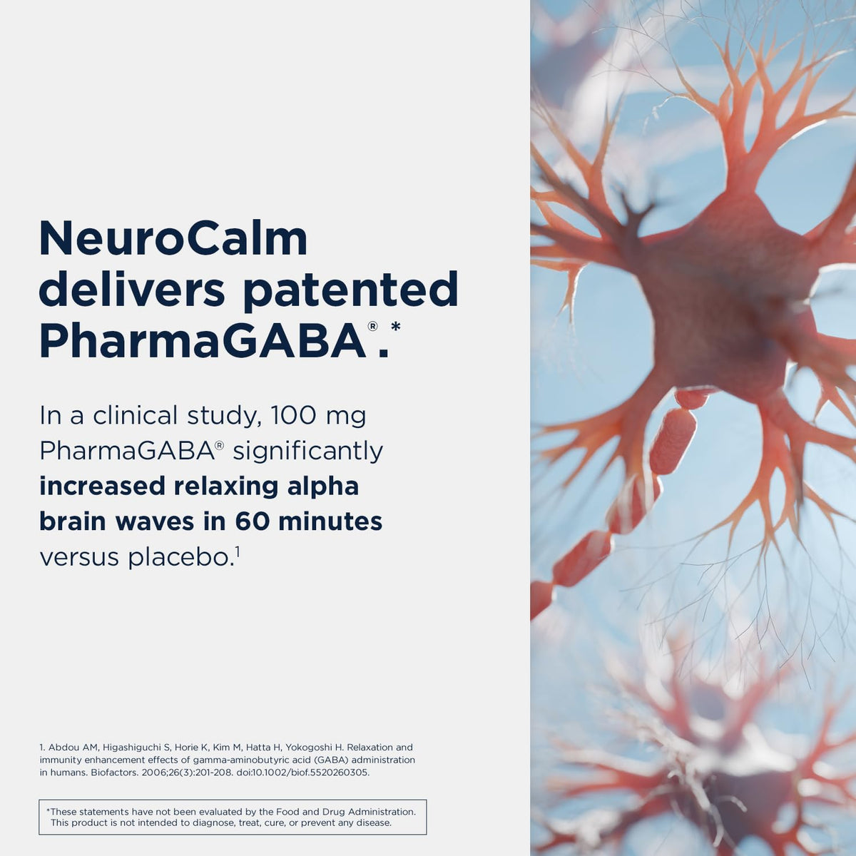 Designs for Health NeuroCalm capsules ouvertes montrant leur taille