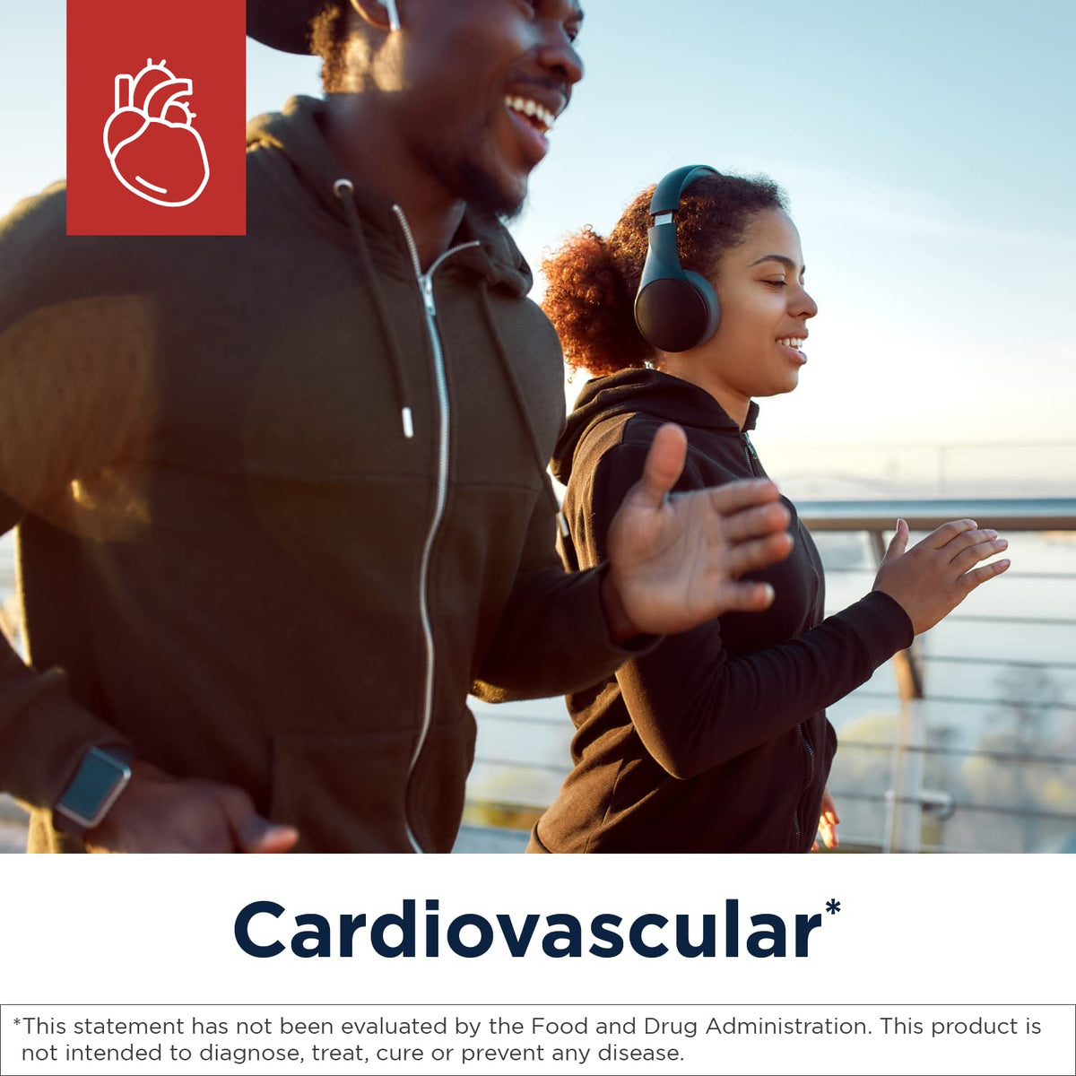 Designs for Health Riz de Levure Rouge 1200 mg emballage