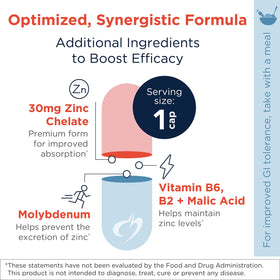 Designs for Health Zinc Bisglycinate Chelate 30mg bottle with label