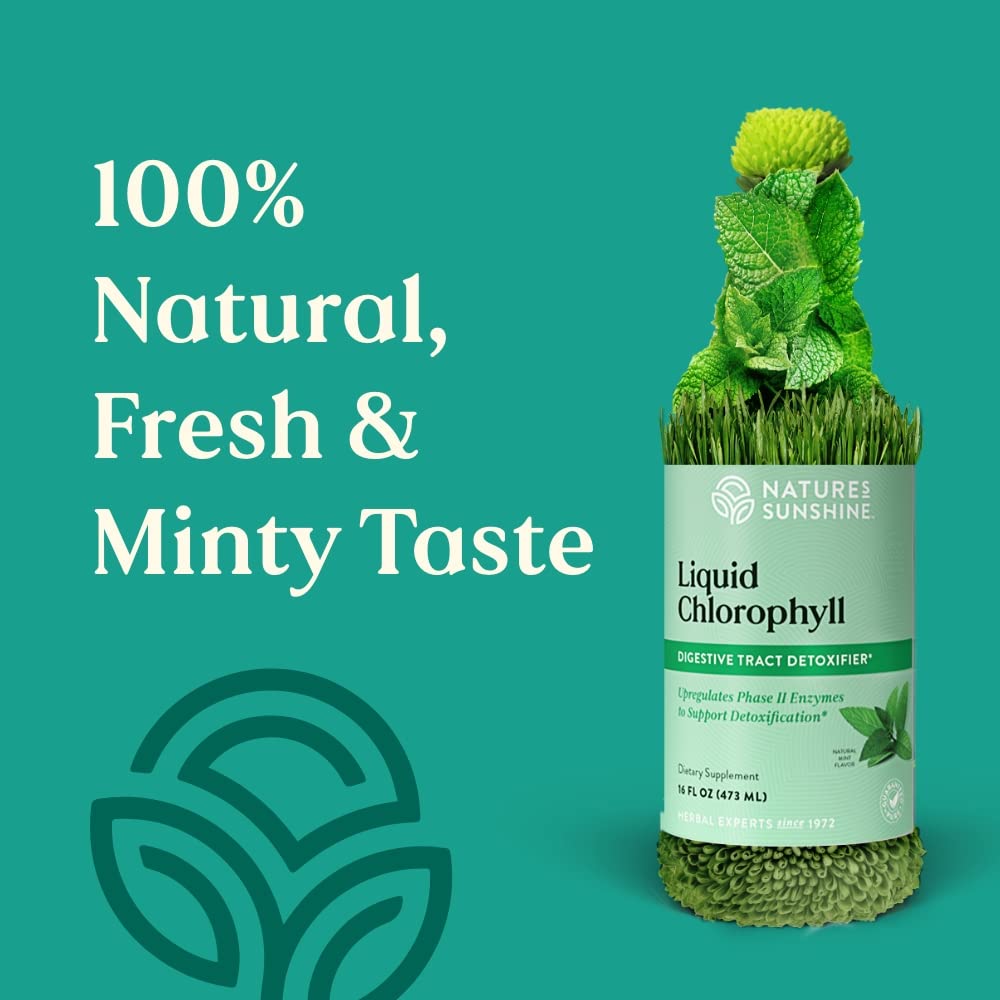Détail de l'étiquette de Nature's Sunshine Chlorophylle Liquide 480 ml