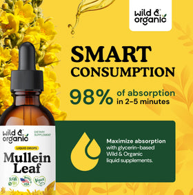 Détail de l'étiquette des gouttes de mullein Wild & Organic