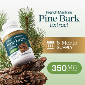 Détail de l'étiquette du flacon d'extrait de pin maritime Purely Holistic