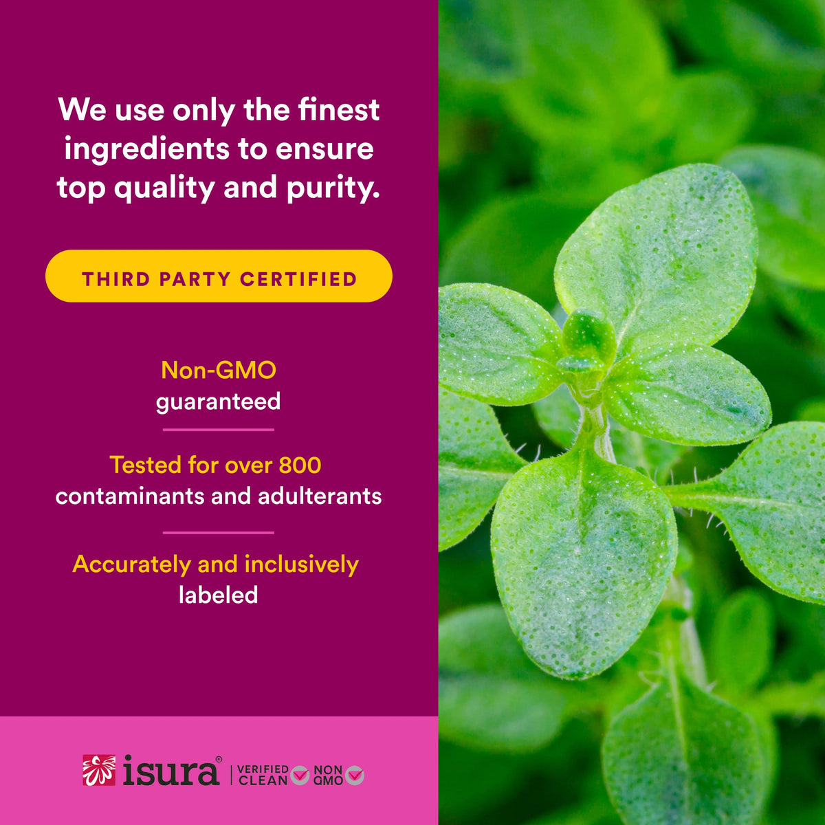 Détail de l'étiquette du flacon d'huile d'origan bio Natural Factors