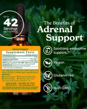 Détail de l'extrait d'Éleuthéro dans le flacon Herb Pharm
