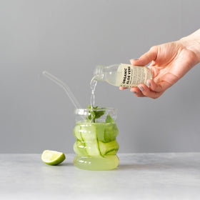 Détail de la bouteille de jus d'aloe vera Erbology avec étiquette visible