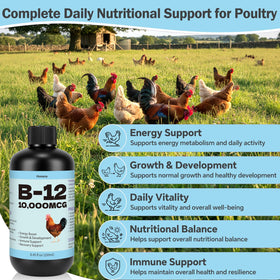 Détail de la bouteille inqigi Vitamine B12 avec dosage de 10 000 mcg