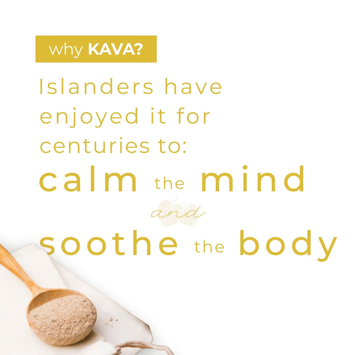 Détail de la canette Kava Pina Colada de LEILO avec ananas et noix de coco