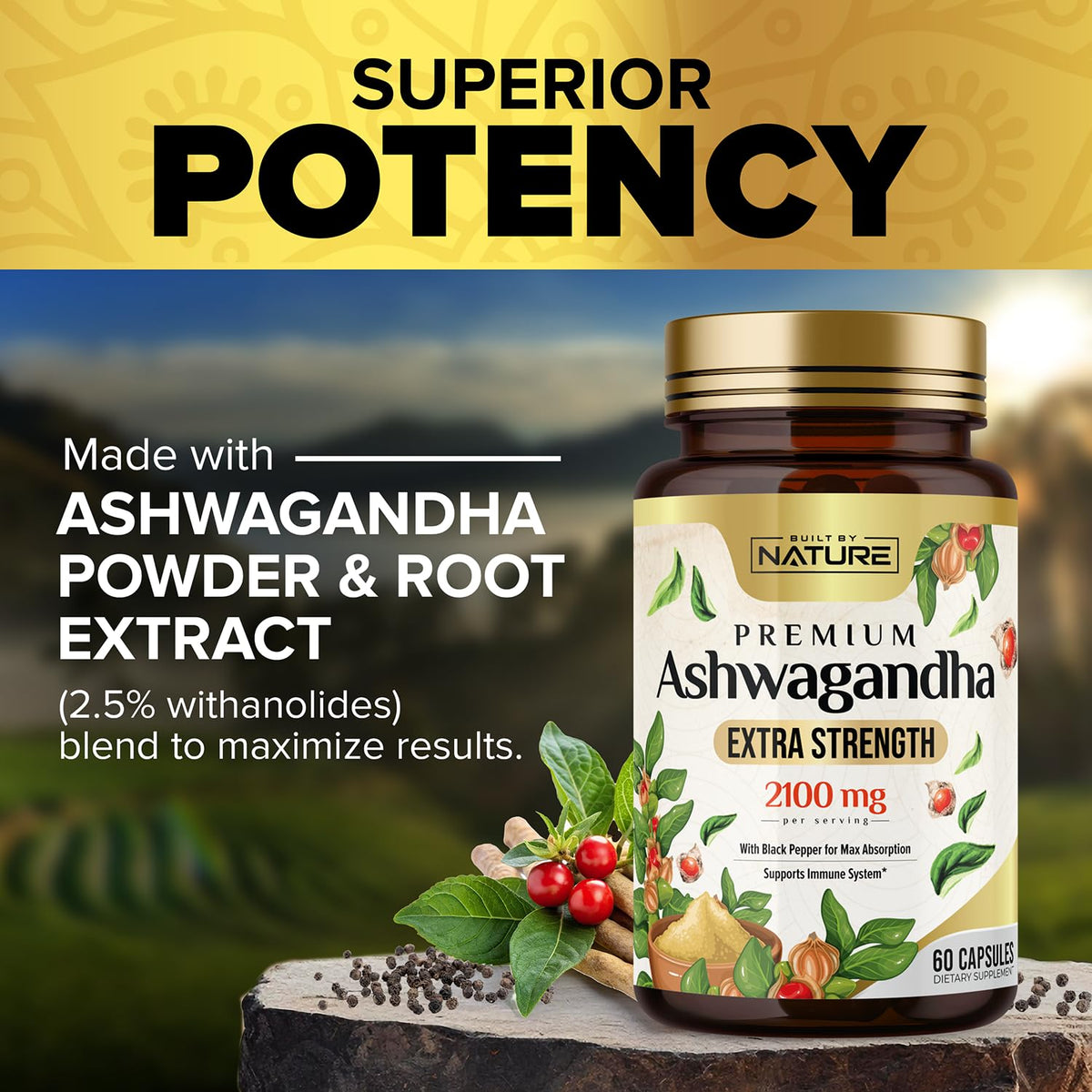 Détail de la capsule d'Ashwagandha 2100mg avec extrait de poivre noir