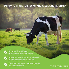 Détail de la capsule de colostrum Vital Vitamins
