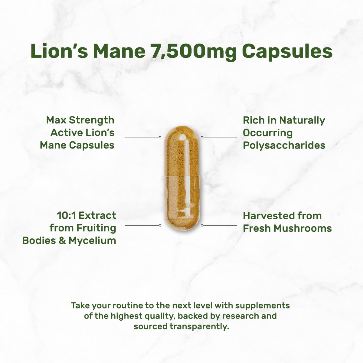 Détail de la capsule de Crinière de Lion DEAL SUPPLEMENT