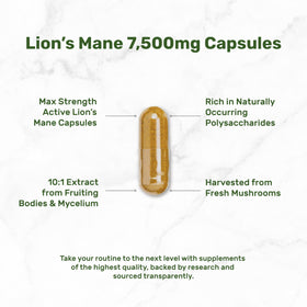 Détail de la capsule de Crinière de Lion DEAL SUPPLEMENT