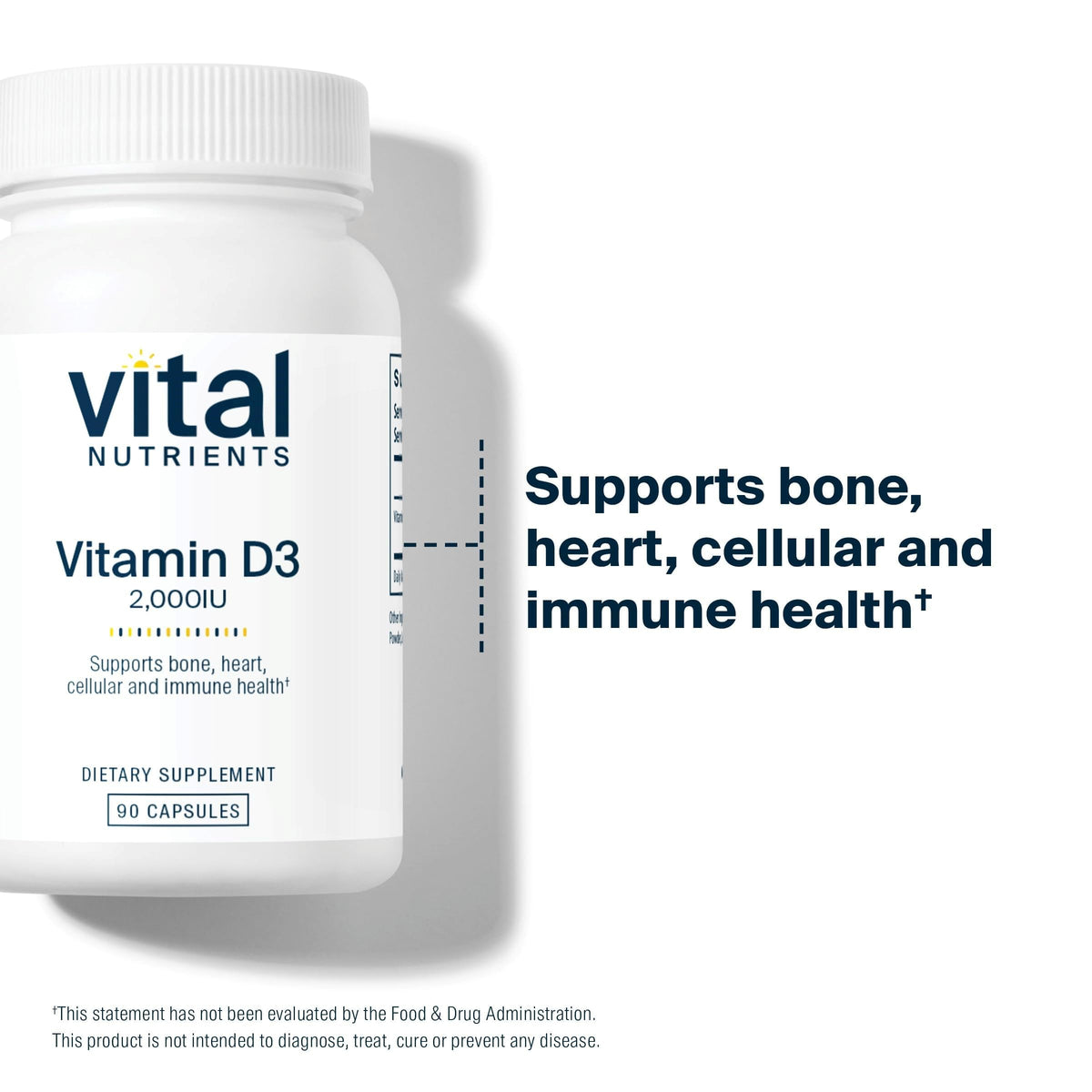 Détail de la capsule de Vitamine D Vital Nutrients