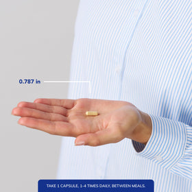 Détail de la capsule Silymarin Pure Encapsulations