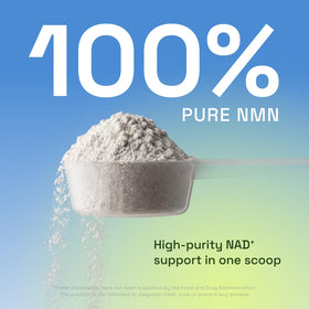 Détail de la cuillère avec poudre Cata-Kor NMN 1000 mg