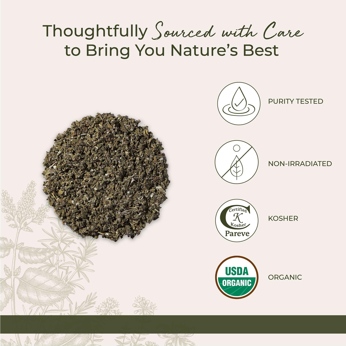 Détail de la feuille de framboisier bio Starwest Botanicals