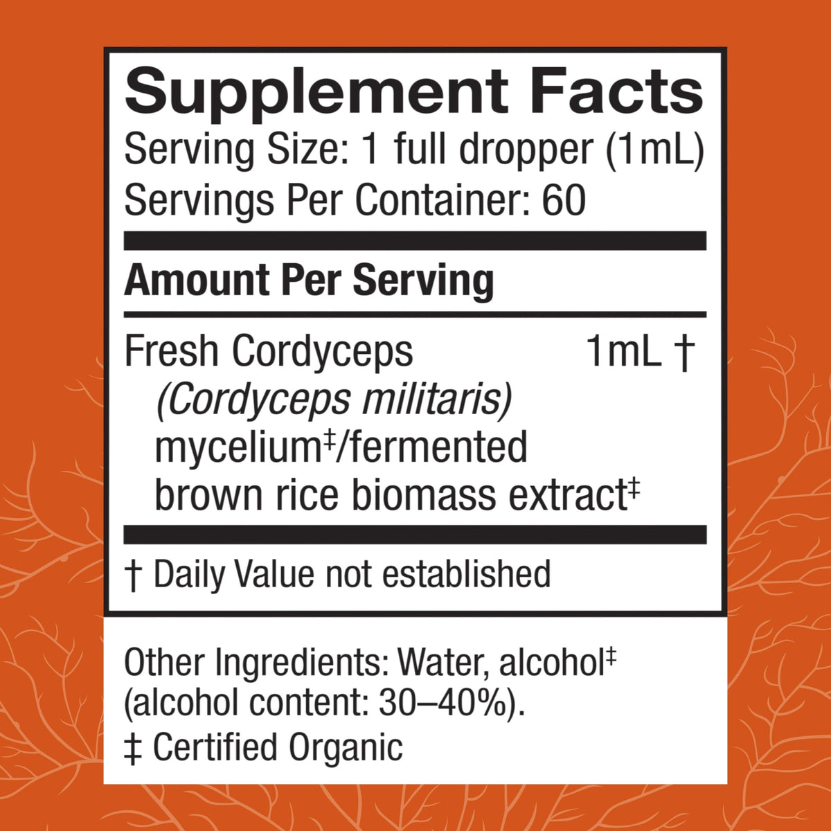 Détail de la pipette de l'extrait de Cordyceps