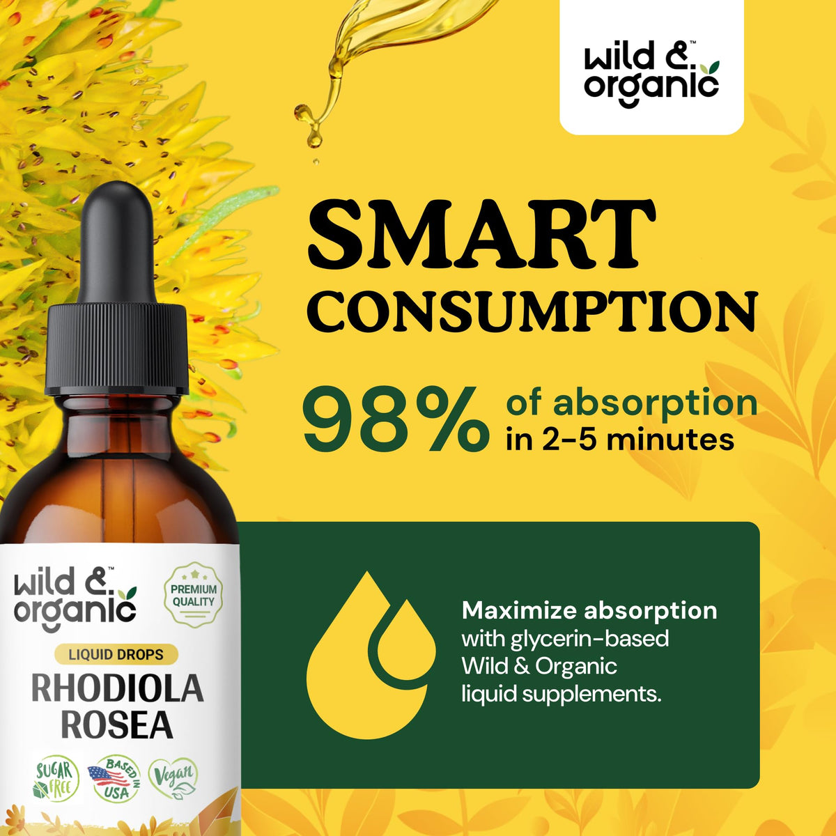 Détail de la pipette de la teinture de rhodiola rosea Wild & Organic