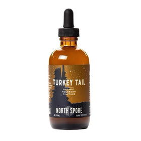 Détail de la pipette de la Tincture de Champignon Turkey Tail