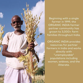 Détail de la poudre d'Amla Bio ORGANIC INDIA 472g