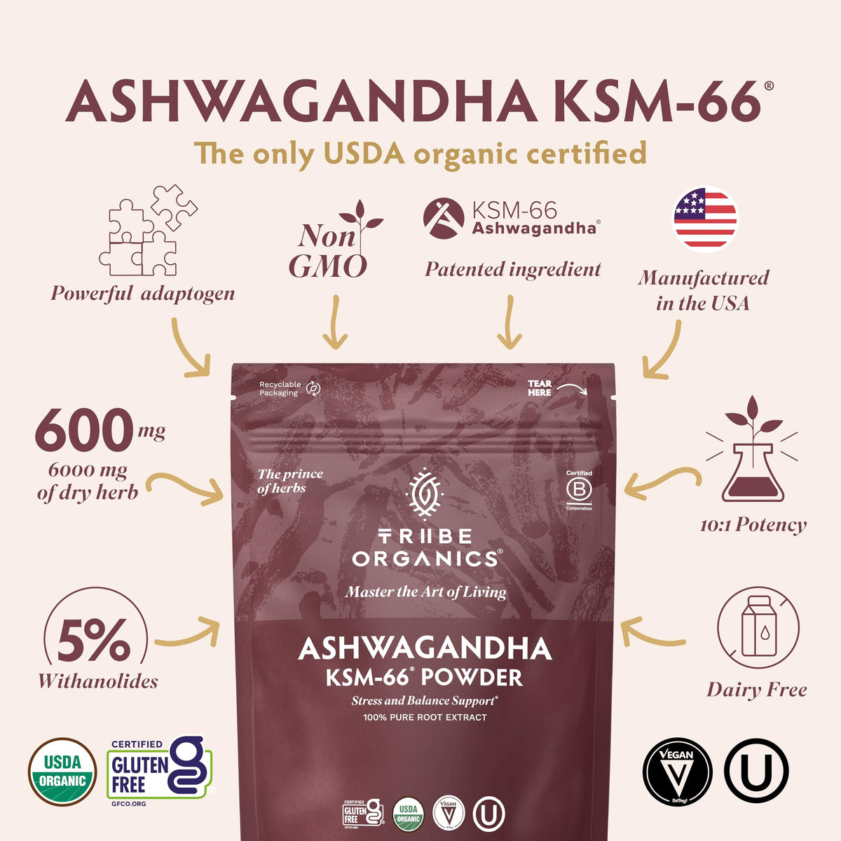 Détail de la poudre d'ashwagandha KSM-66 dans un bol