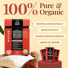 Détail de la poudre d'extrait de Reishi bio Mehdi Reishi