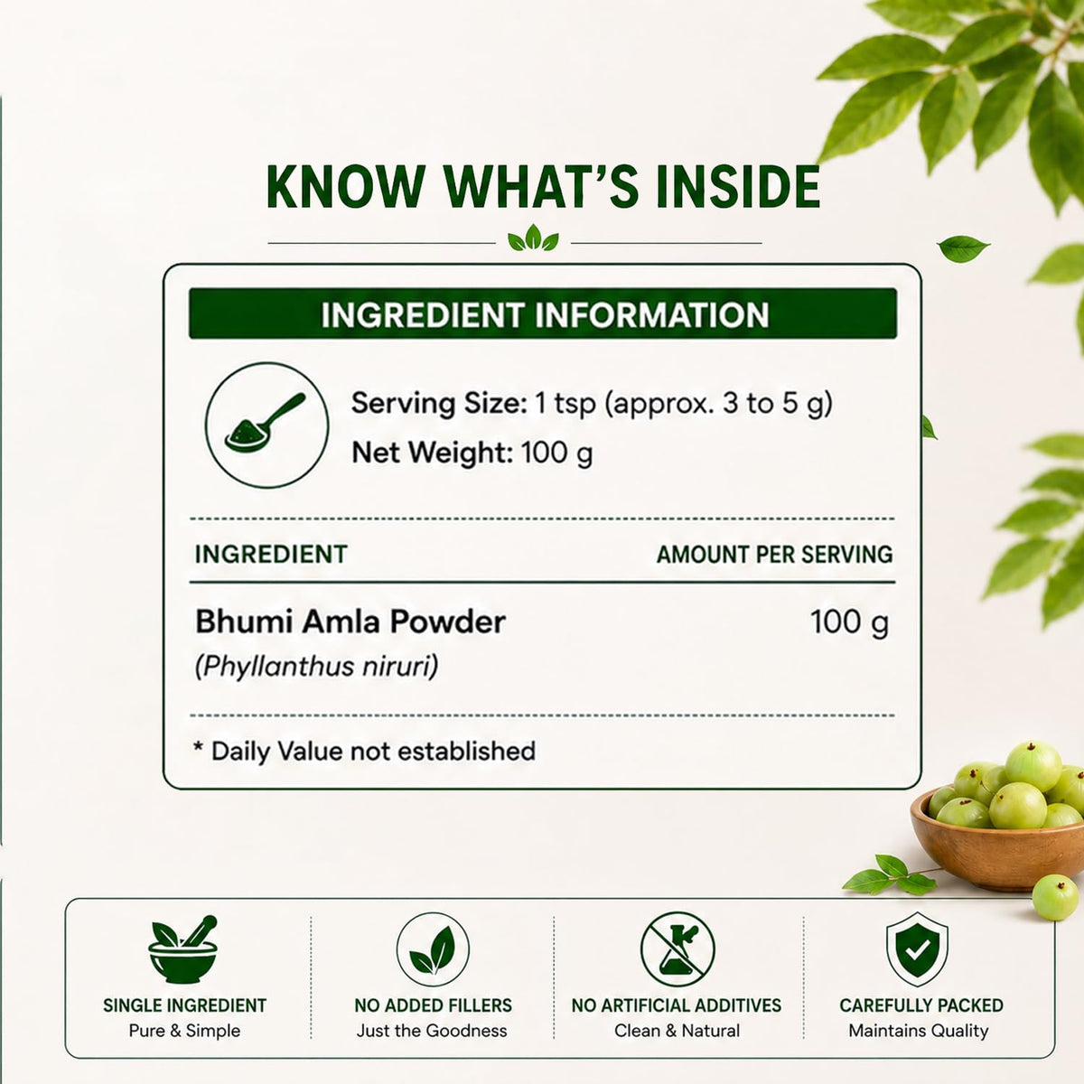 Détail de la poudre de Bhumi Amla Bio dans un bol