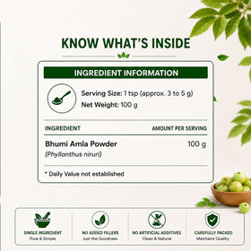 Détail de la poudre de Bhumi Amla Bio dans un bol