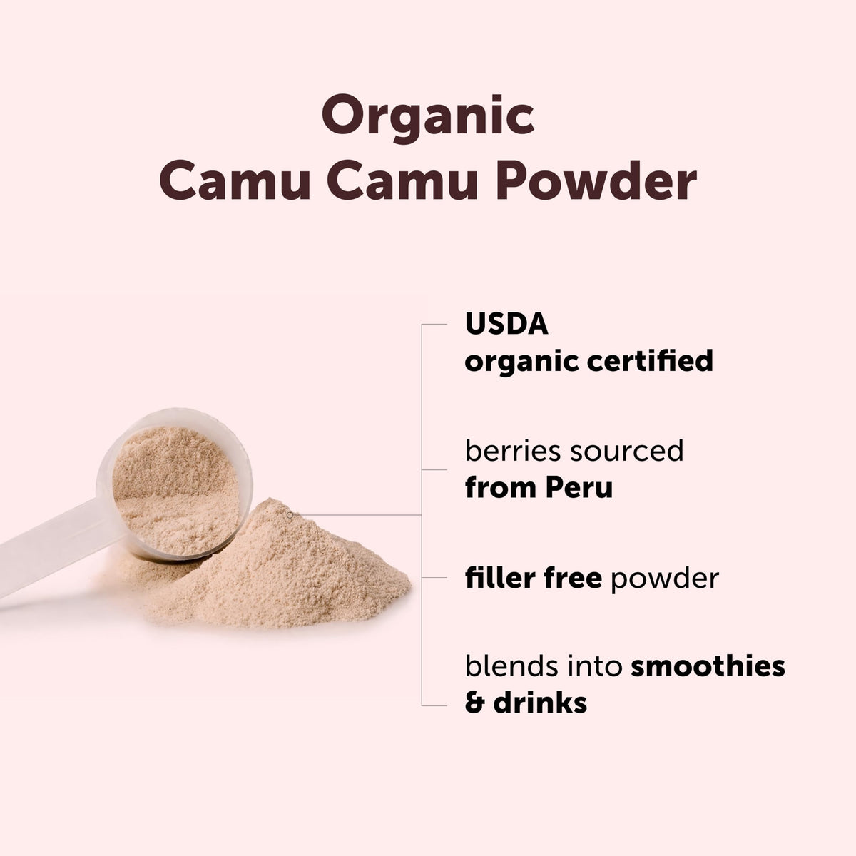 Détail de la poudre de camu camu bio dans un bol