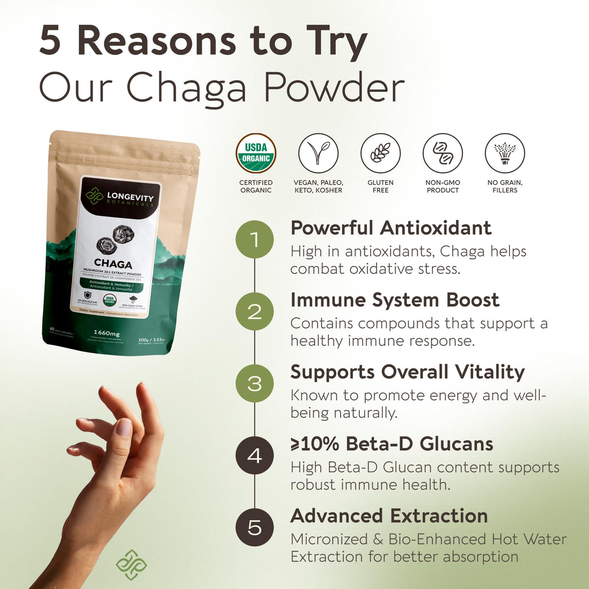 Détail de la poudre de champignon Chaga bio en cuillère