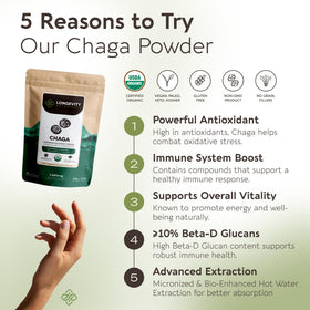 Détail de la poudre de champignon Chaga bio en cuillère