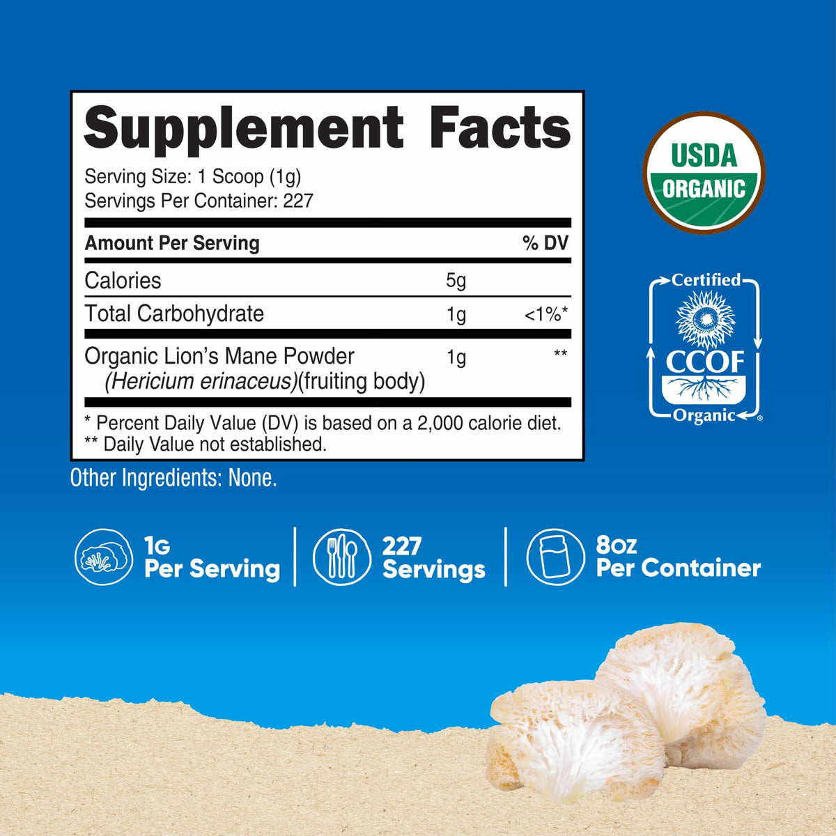 Détail de la poudre de champignon Lion's Mane Nutricost dans une cuillère